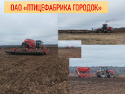 Весенний день год кормит — этот принцип в полной мере соблюдают аграрии Городокщины