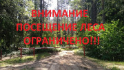 В Городокском районе действуют ограничения на посещение лесов.
