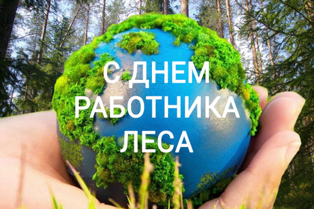 Уважаемые ветераны и работники лесного хозяйства!