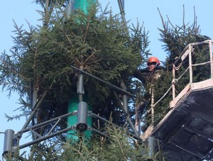 Мантаж навагодняй ёлкі ідзе ў Віцебску
