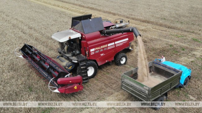 Лукашэнка заслухаў даклад губернатара Віцебскай вобласці аб ходзе жніва ў рэгіёне
