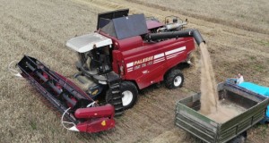 Лукашэнка заслухаў даклад губернатара Віцебскай вобласці аб ходзе жніва ў рэгіёне
